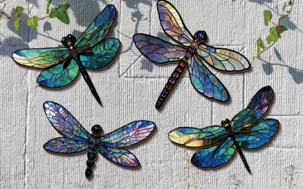 4pcs Vibrant Dragonfly Wall Art! πΏ
