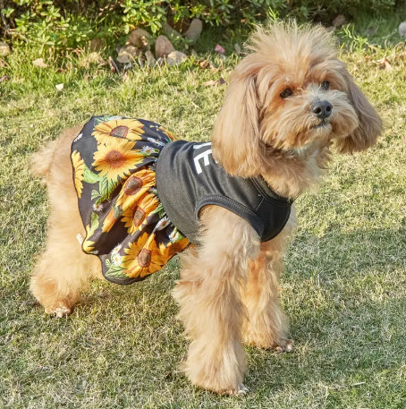 🌻Sunflower Love Pet Dress❤️