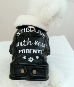 Still Live with my parents - Black leather look Dog Coat