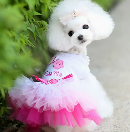💋Chic Pink Kiss Me Lips - tulle dog dress💋