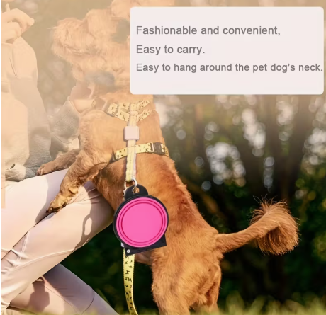 🐾✨ On-the-Go Pet Bowls! 🌍🐶🐱
